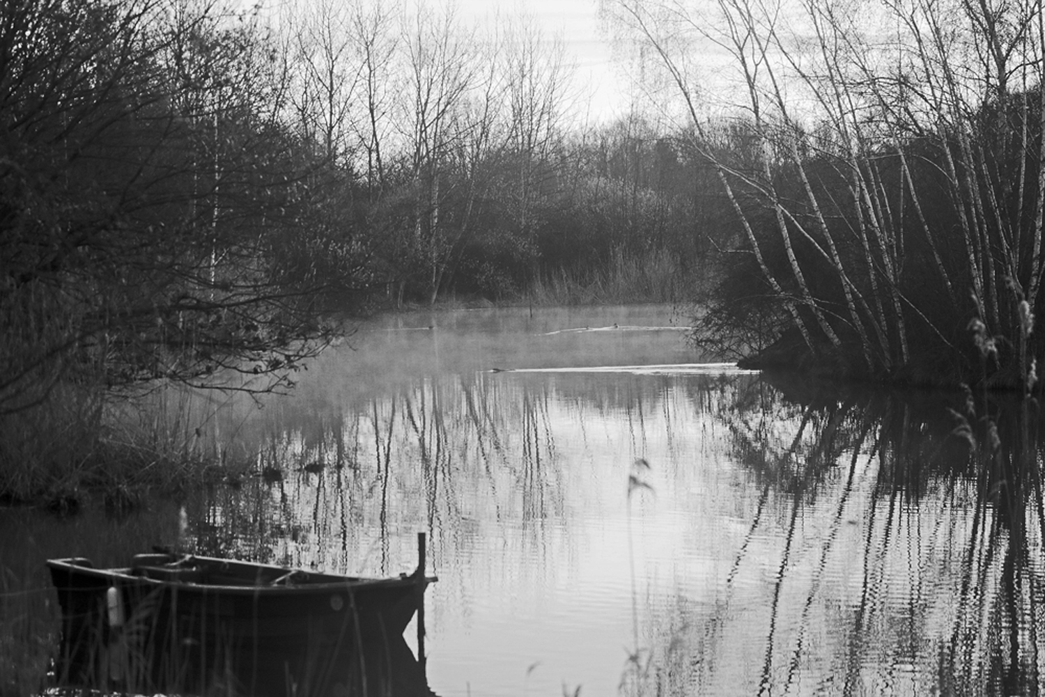 Etang Nord Eco Musée d'Alsace.