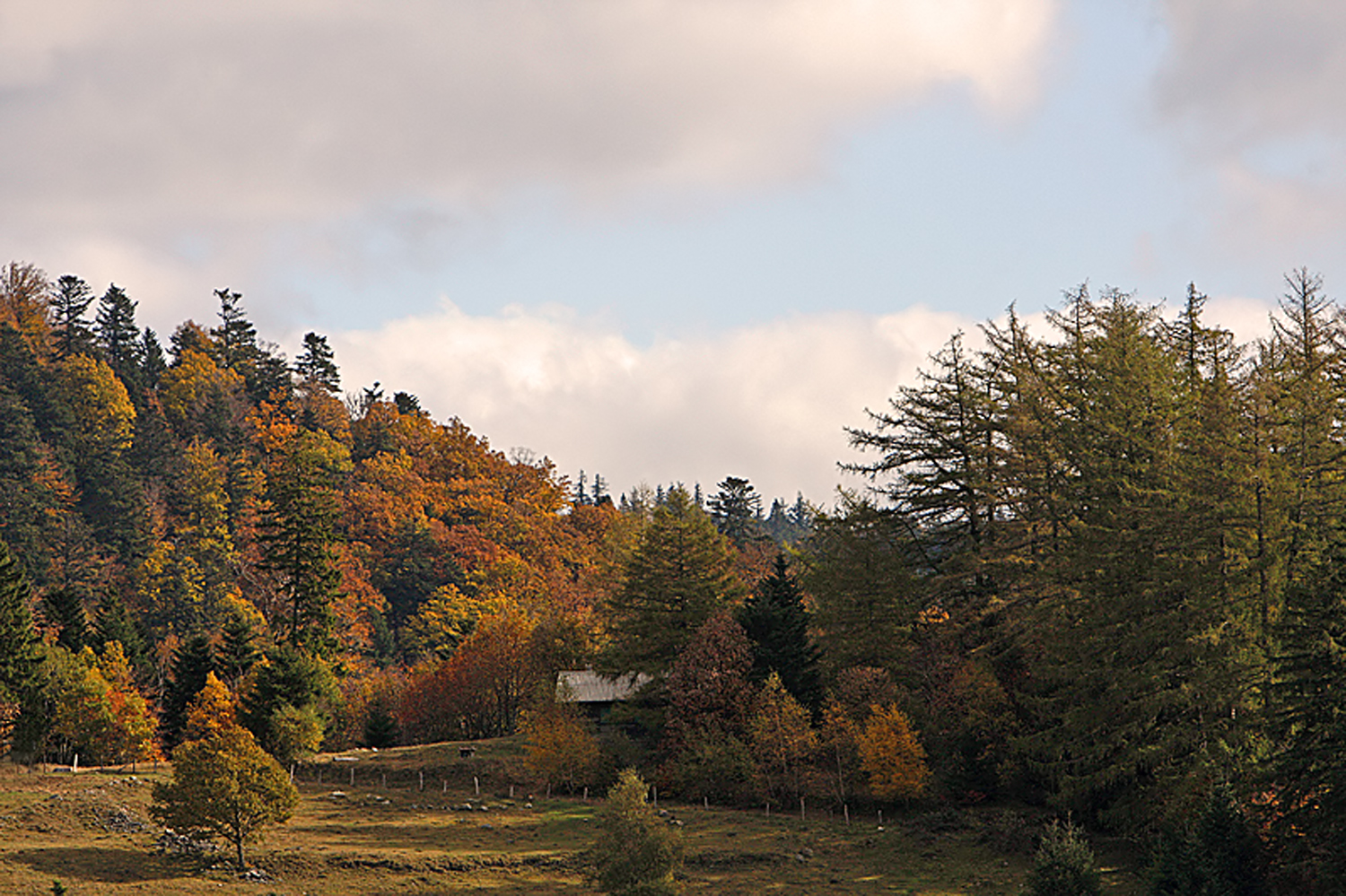 Couleurs d'automne.