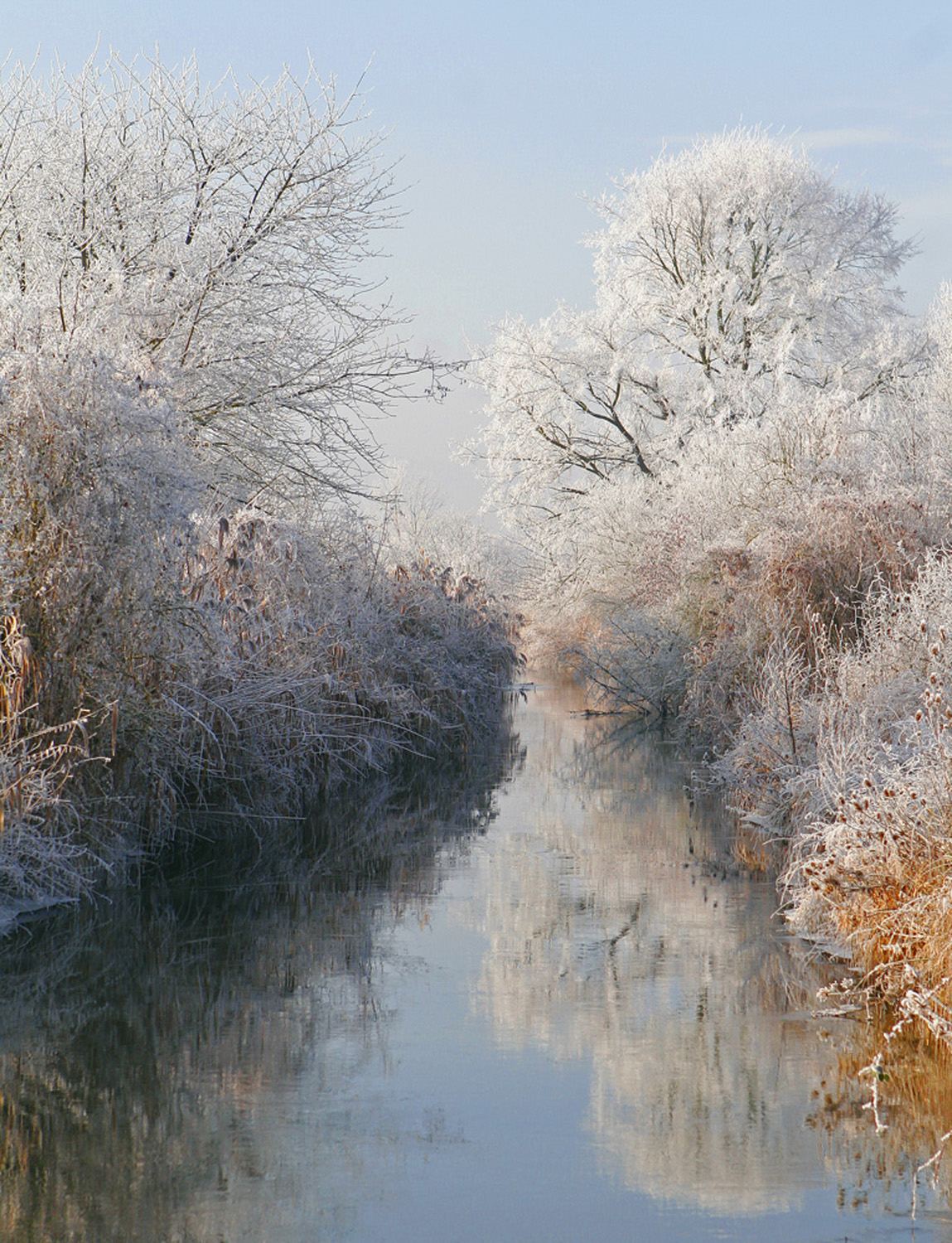 Et au milieu coule une rivière 1