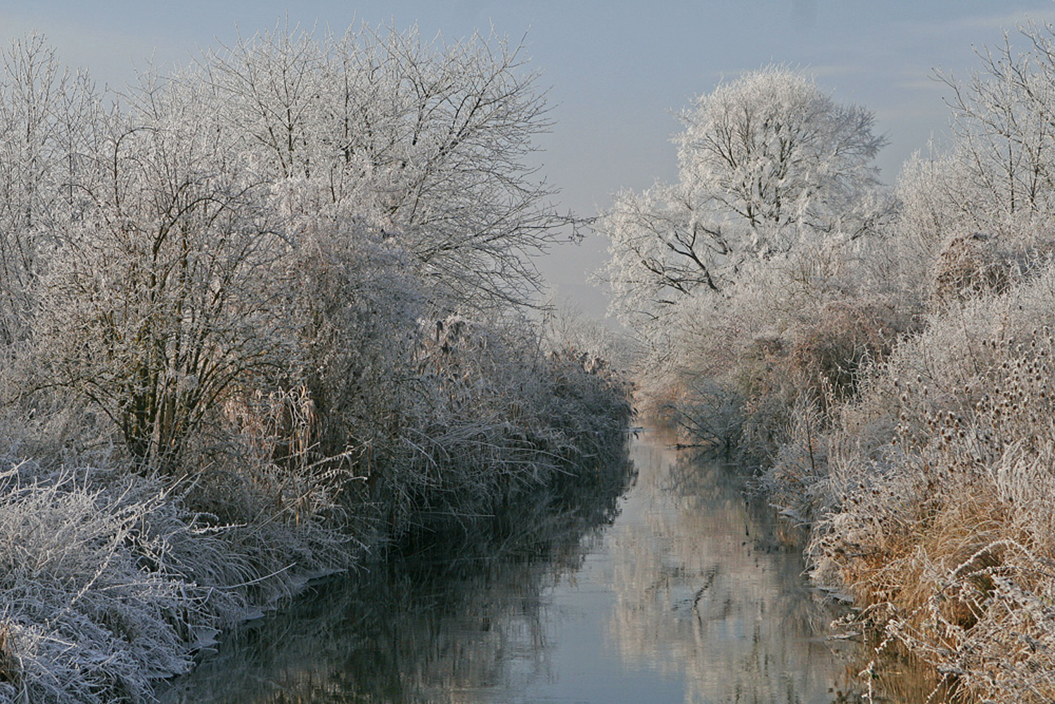 Et au milieu coule une rivière ...