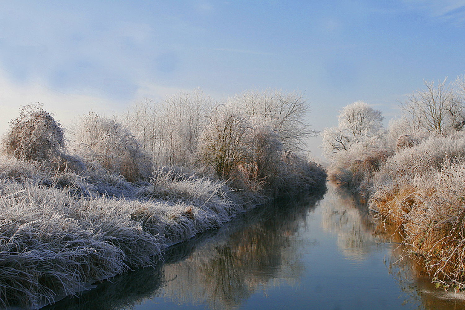 Et au milieu coule une rivière 2