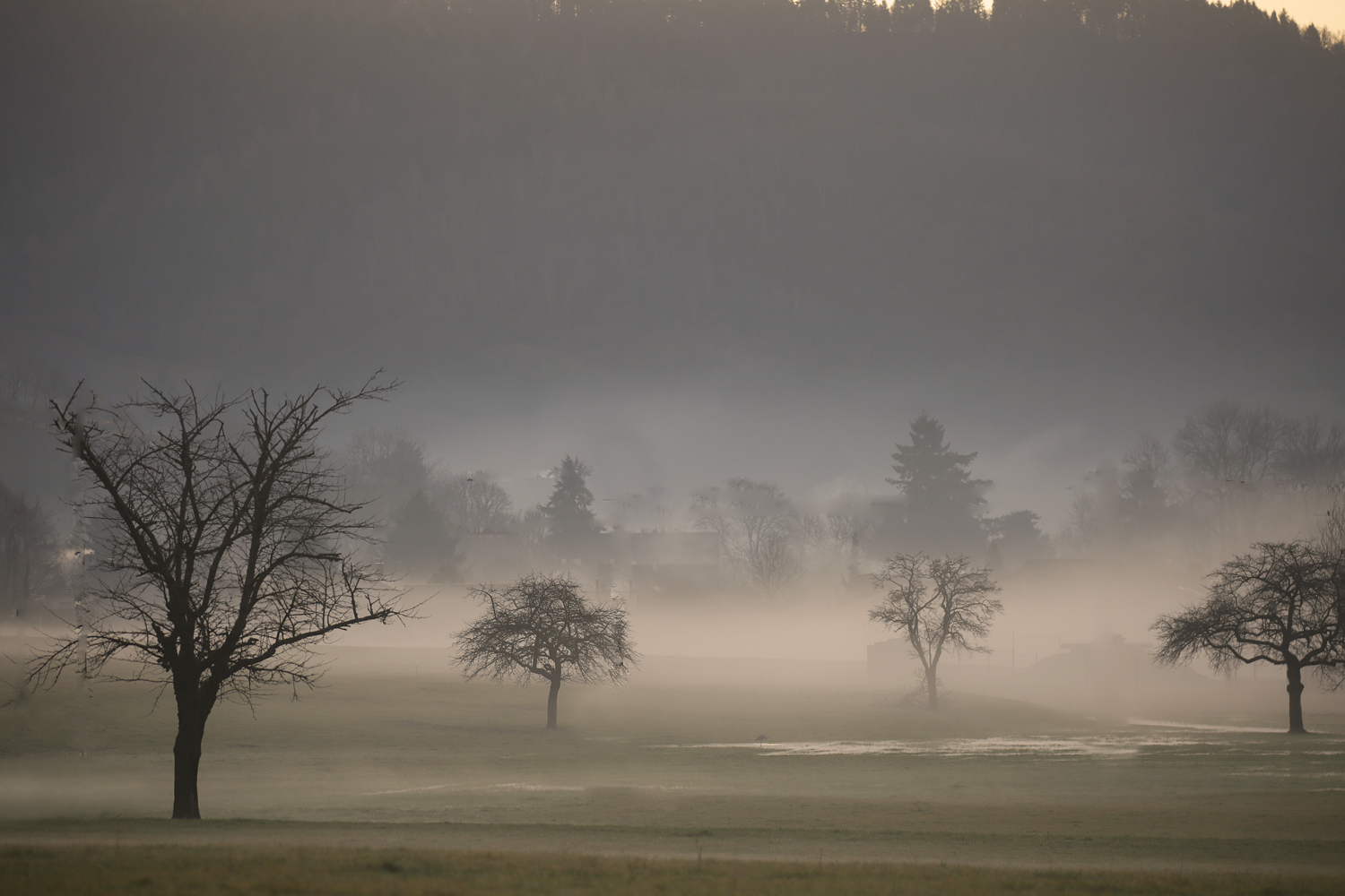 Matin brumeux