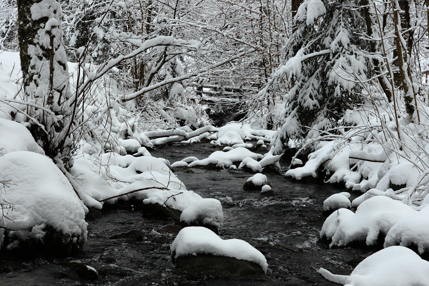 Rivière enneigée.